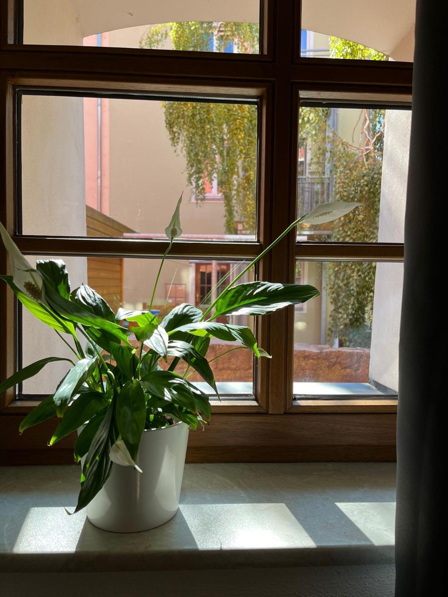 Appartement 5 Predigergasse Bautzen Ngoại thất bức ảnh